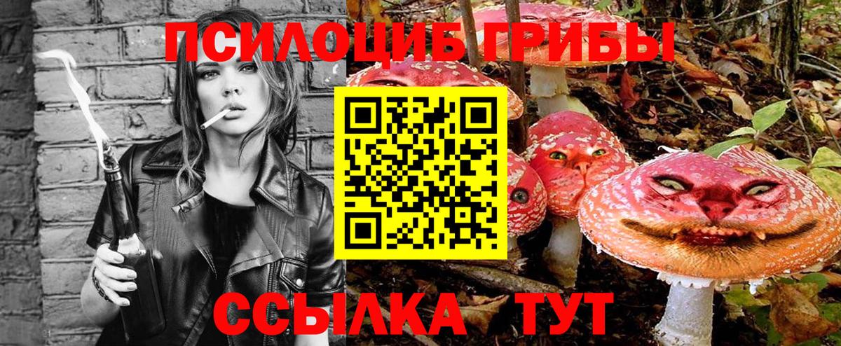 Псилоцибиновые грибы прущие грибы  Вход с VPN  Мирный 
